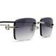 Cartier Custom CT0259O Silver