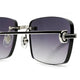 Cartier Custom CT0259O Silver