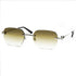 Cartier Custom CT0290O Zilver
