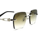 Cartier Custom CT0290O Zilver