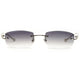 Cartier Custom Panthere CT0061O Silver