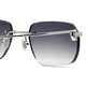 Cartier Custom C Decor CT0113O Silver
