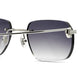 Cartier Custom C Decor CT0113O Silver