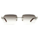 Cartier Custom Panthere CT0120O Silver