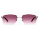 Cartier Custom Panthere CT0120O Silver