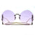 Gucci GG1203S